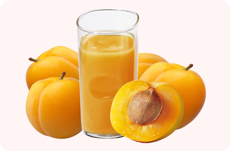 APRICOT PUREE CONCENTRATE